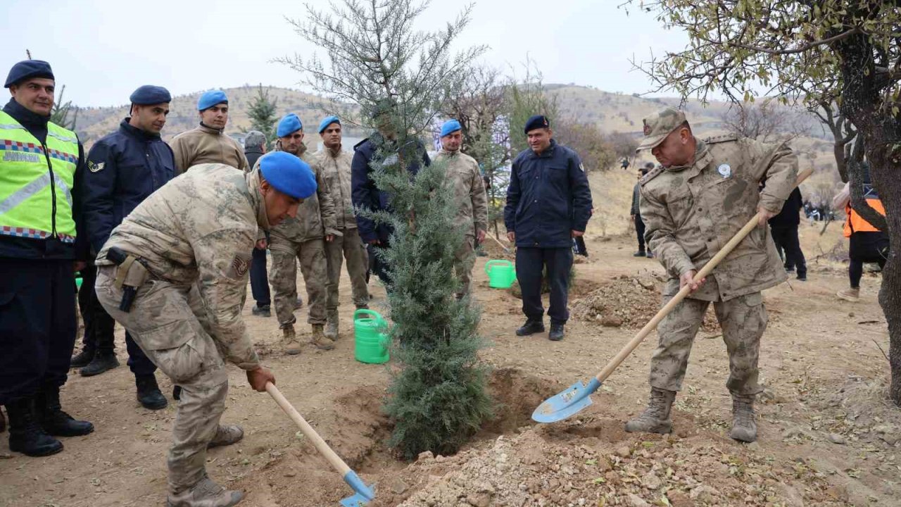 Elazığ’da 2 bin 300 fidan toprakla buluştu