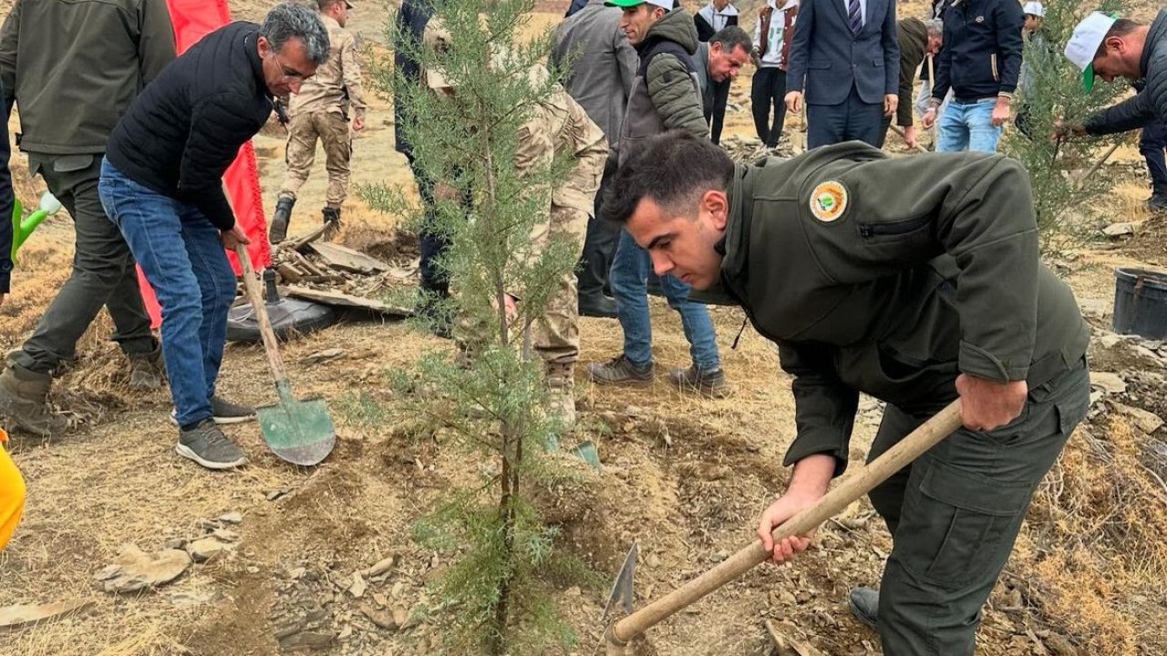 Sincik’te 100 fidan toprakla buluştu