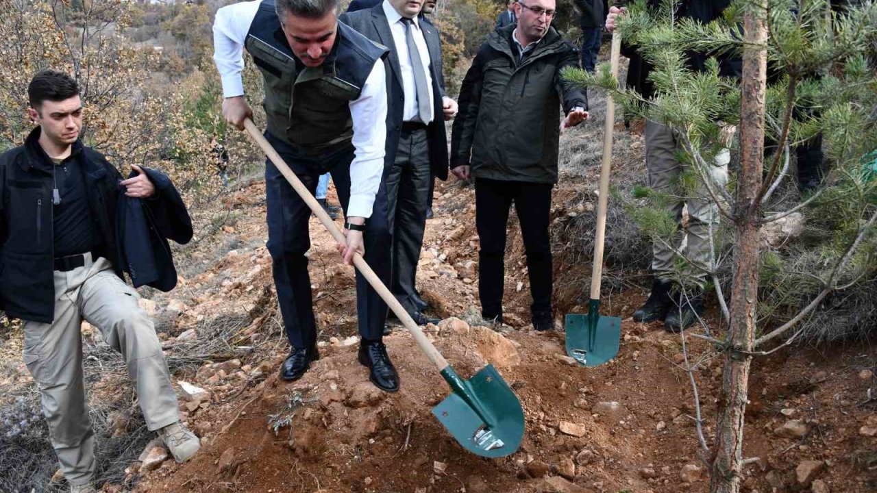 Gümüşhane’de binlerce fidan toprakla buluştu