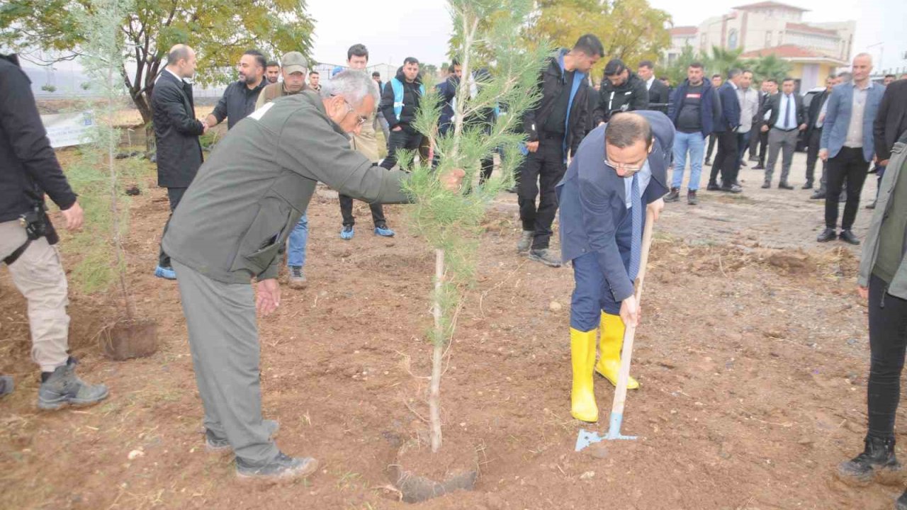 Milli Ağaçlandırma Günü’nde Cizre’de fidanlar toprakla buluştu