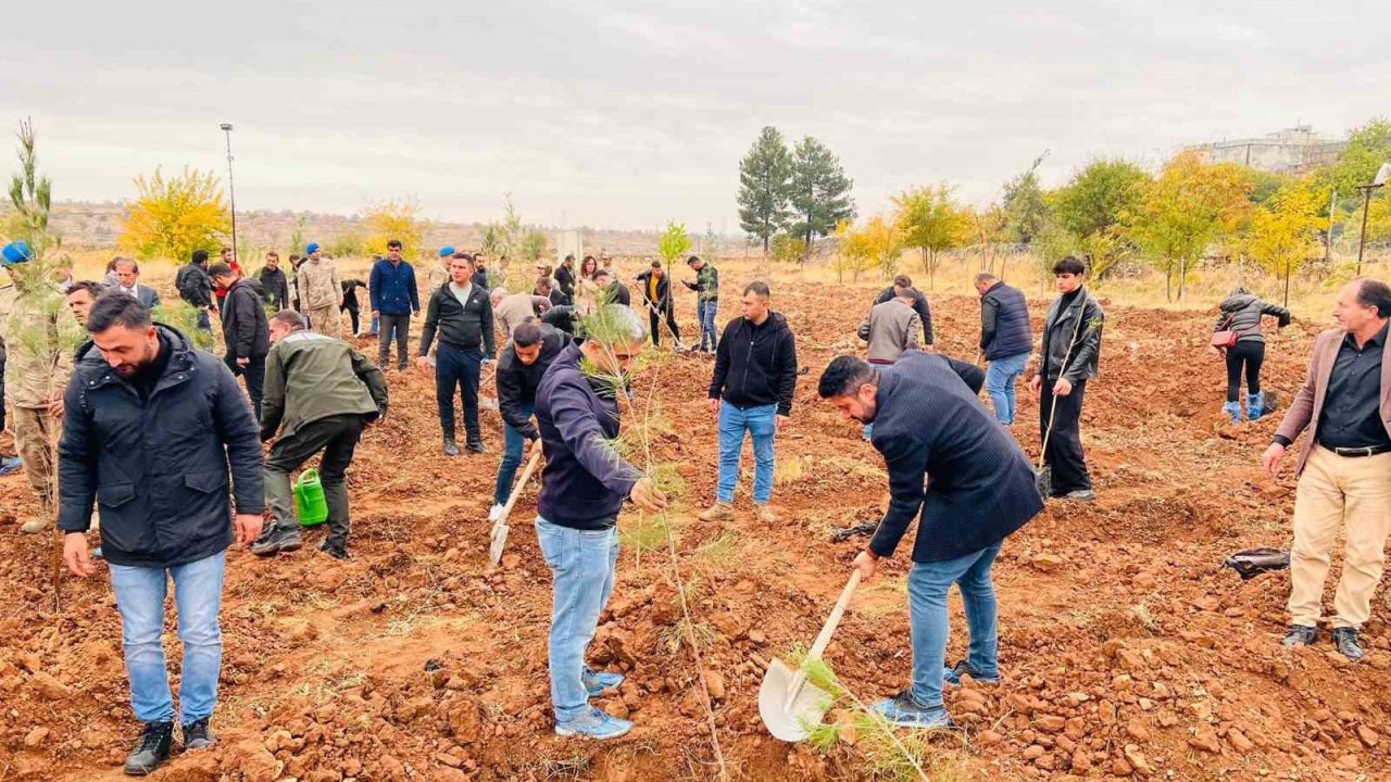 Geleceğe kök salacak fidanlar toprakla buluşturuldu