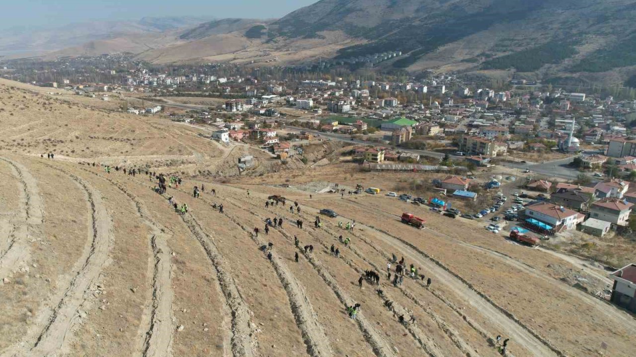 Yahyalı’da binlerce fidan toprakla buluştu