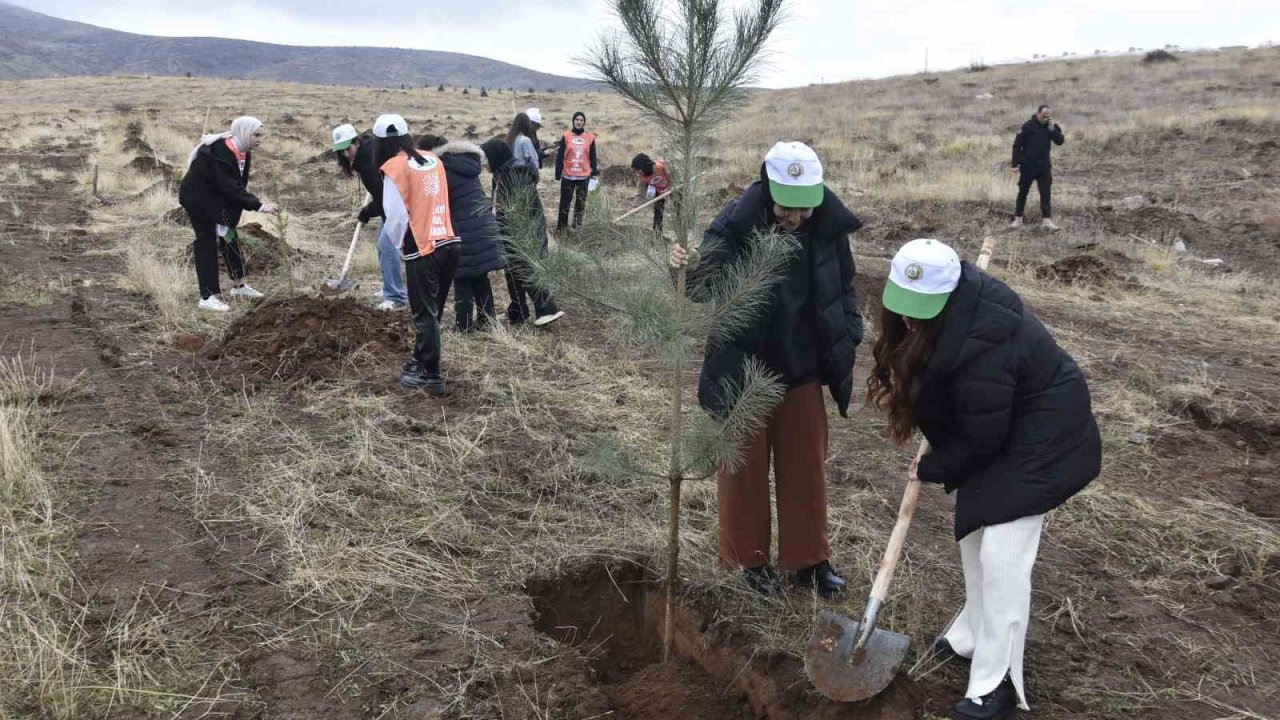 Bitlis’te bin adet fidan dikildi