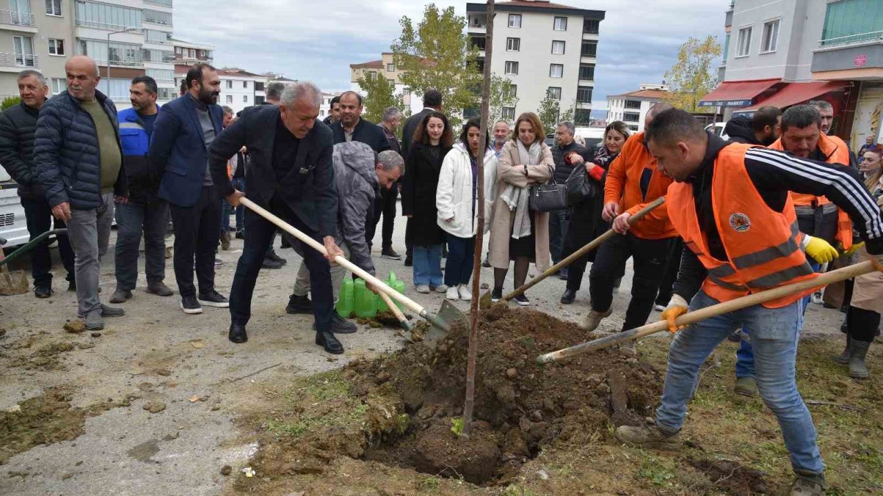 Atakum yeşile bürünüyor