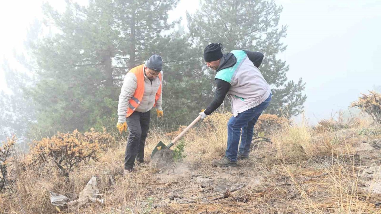 Isparta Belediyesi Gölcük Tabiat Parkı’nda fidanlar toprakla buluşturuldu