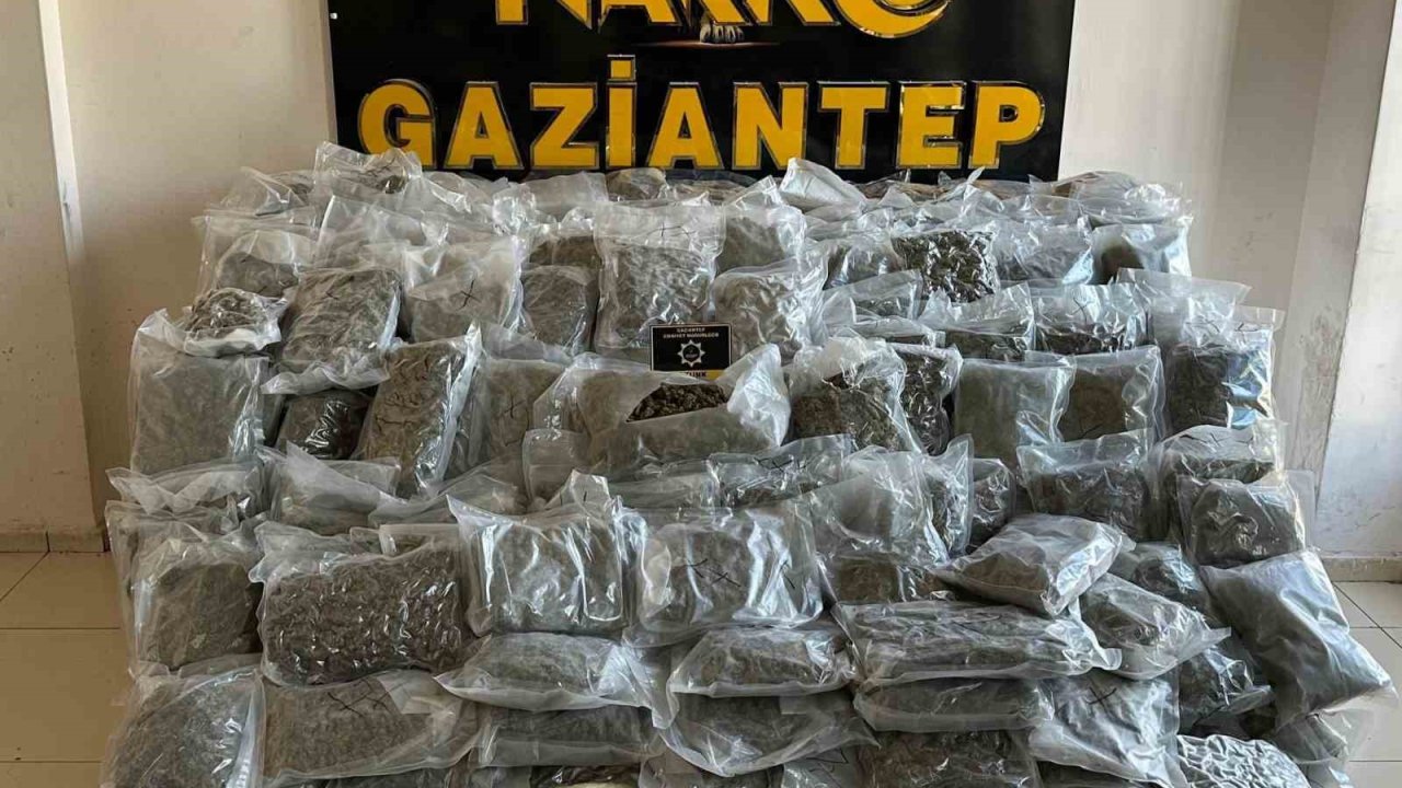 Gaziantep’te 104 kilo skunk ele geçirildi