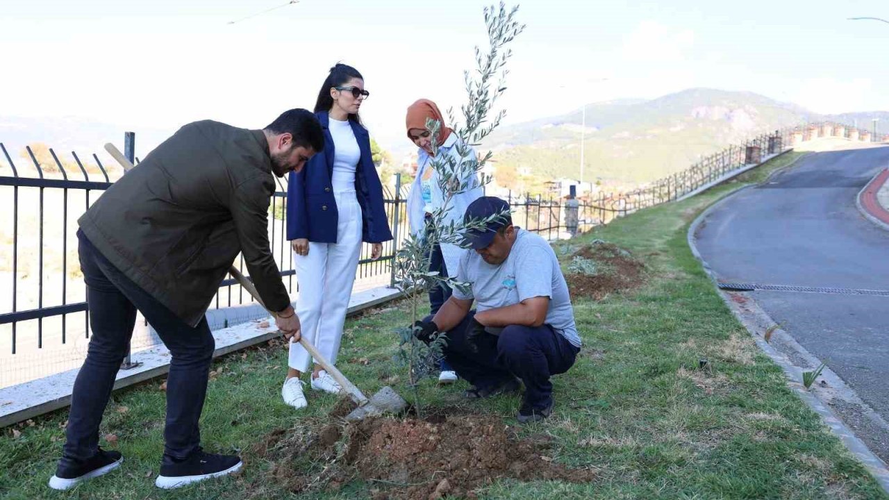 ALKÜ’de zeytin ağacı dikimi yapıldı