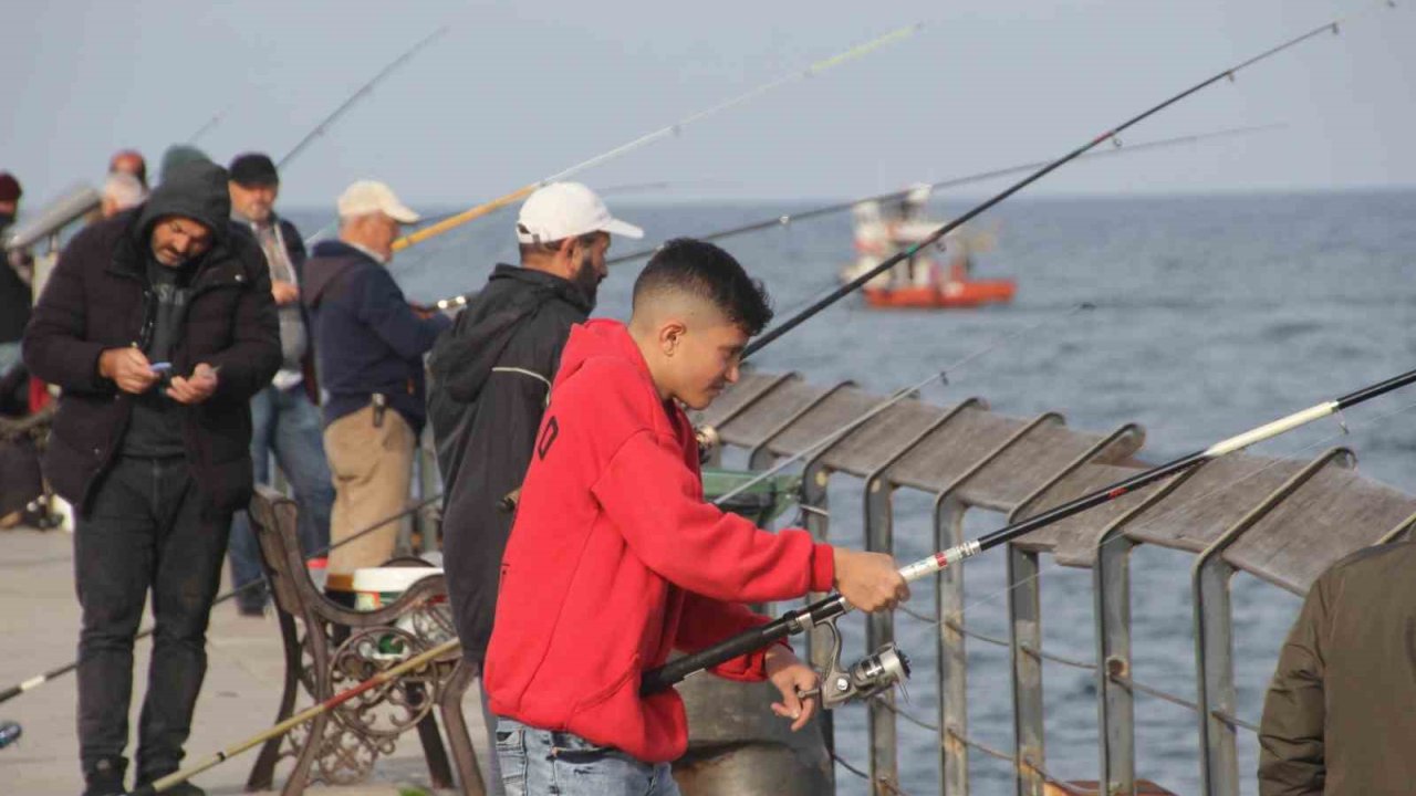 Ordu’da amatör balıkçılar rıhtıma akın etti