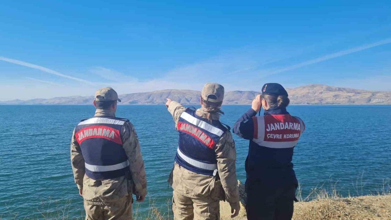 Elazığ’da ot yangınını jandarma ekipleri söndürdü