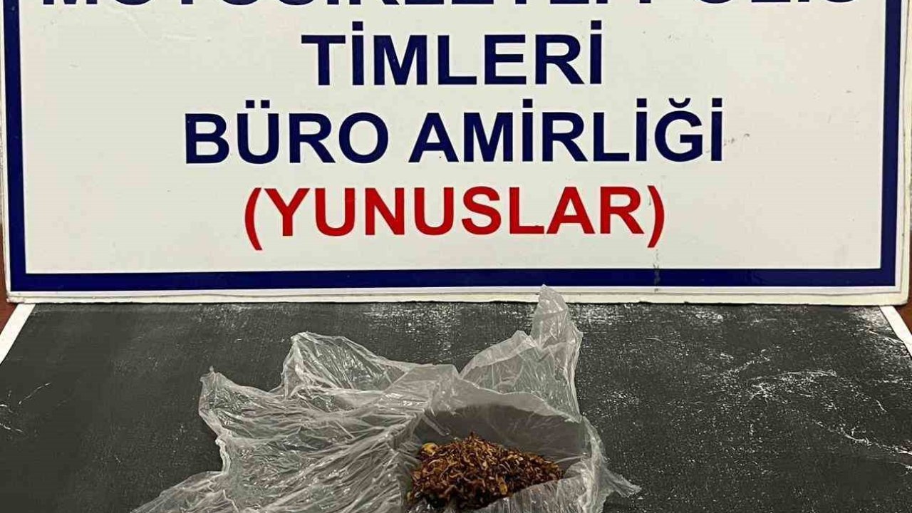 Kütahya’da Yunus Timleri şahsın üzerinde bonzai ele geçirdi