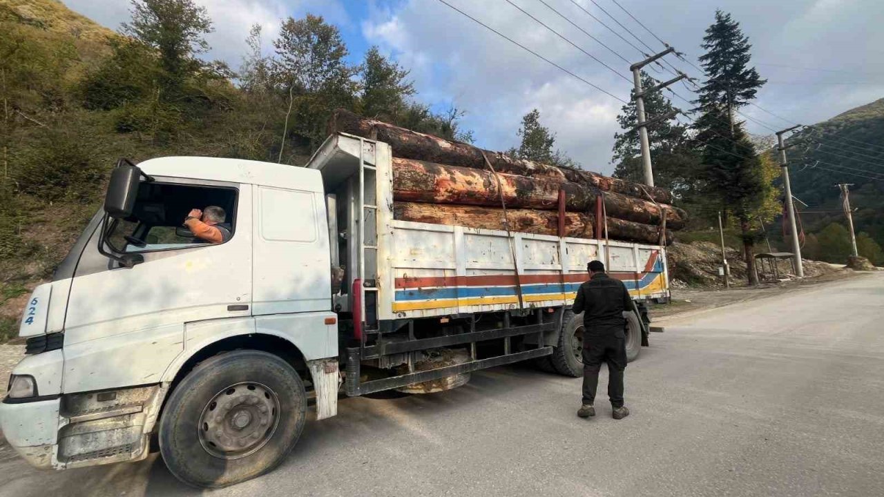 Bolu’da kaçak odun dolu kamyonlar yakalandı