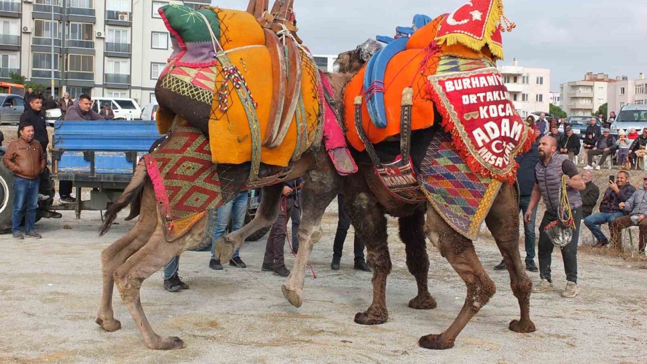 Havut Hayrı güreş severleri buluşturdu