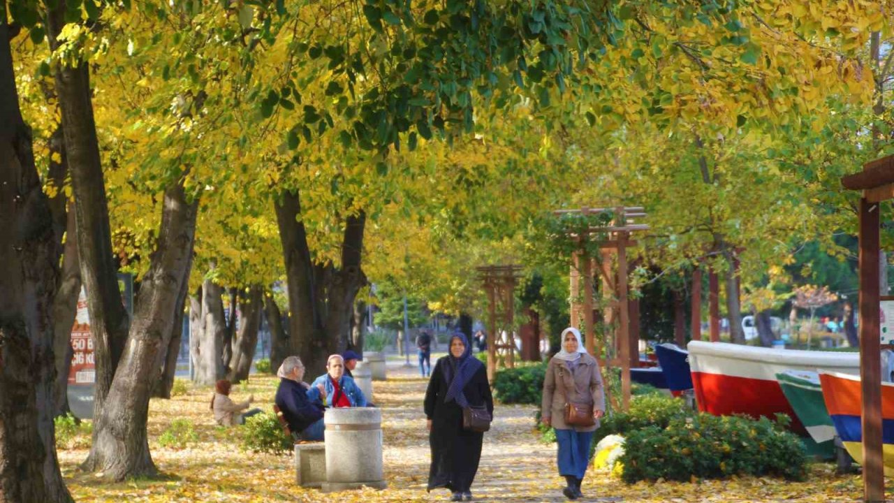 Ordu sahilinde ‘sonbahar’ güzelliği