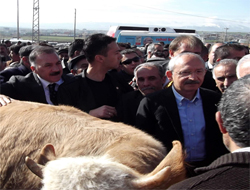 CHP Lideri, Kars Hayvan Pazarını Ziyaret Etti