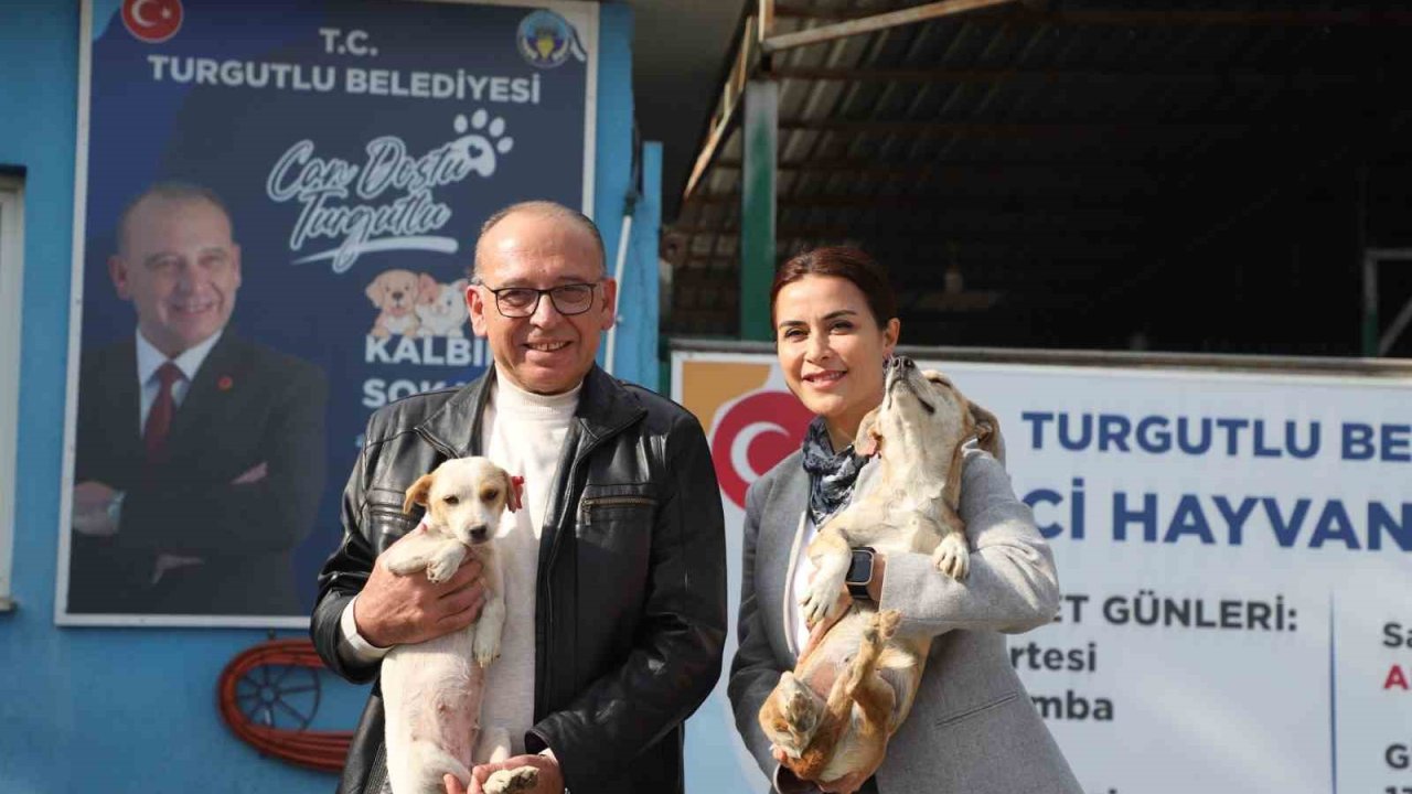 Turgutlu’da online hayvan sahiplendirme sistemi hizmete sunuldu