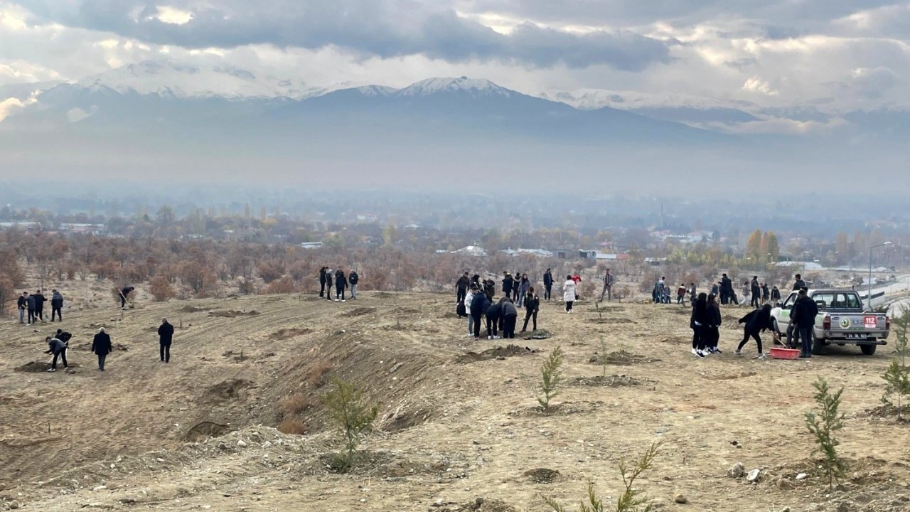 Erzincan’da dağa taşa umut ekiyorlar