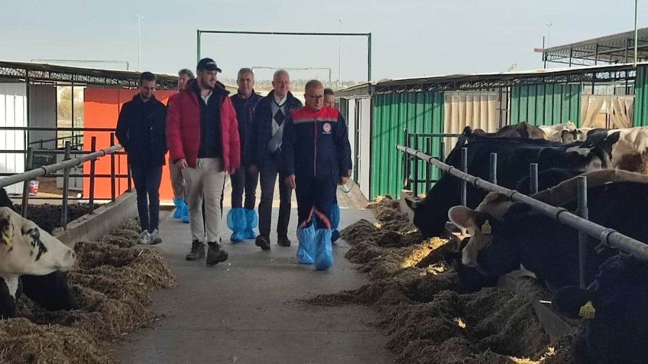 Aydın’da AB’ye ihracat onaylı çiftliklerde incelemelerde bulunuldu