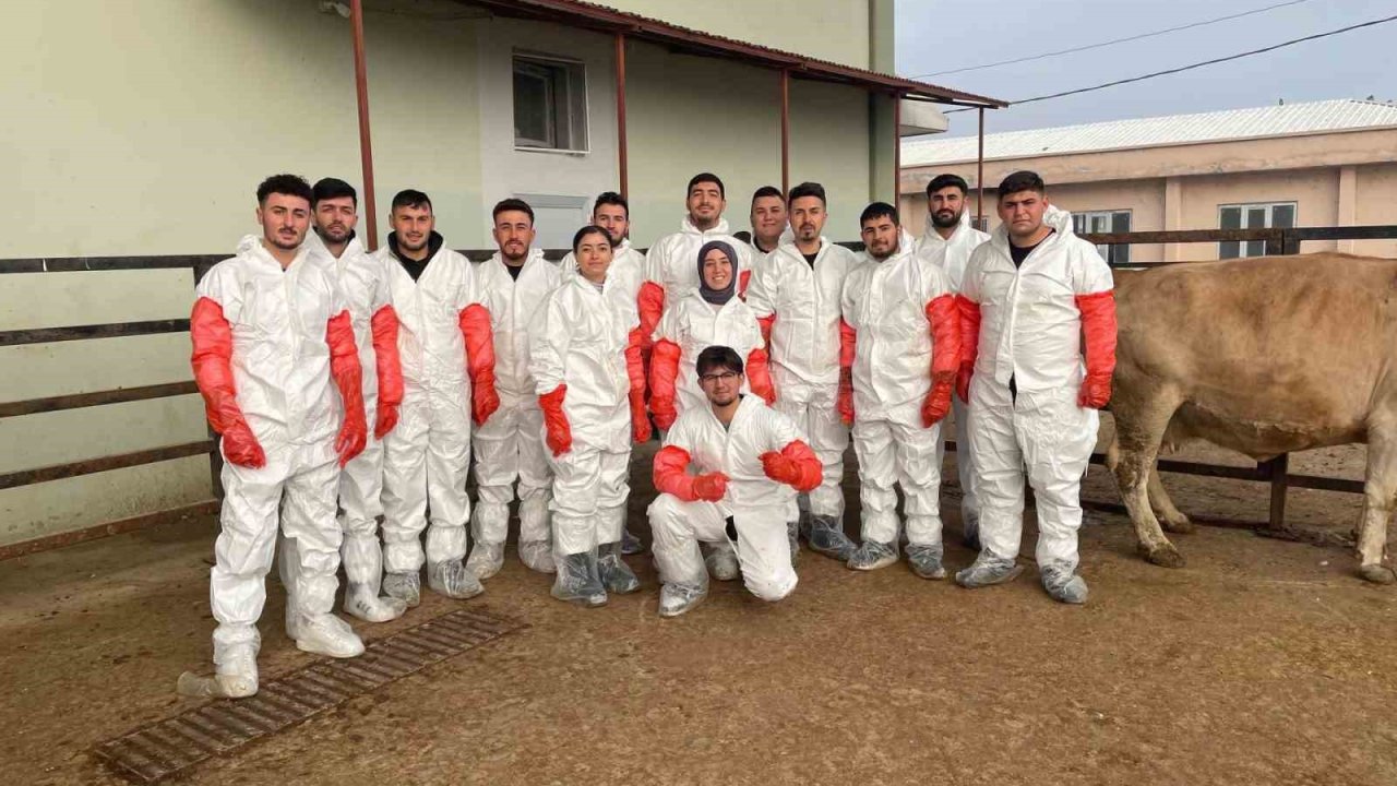 Iğdır’da veteriner sağlık teknisyenlerine suni tohumlama kursu düzenlendi