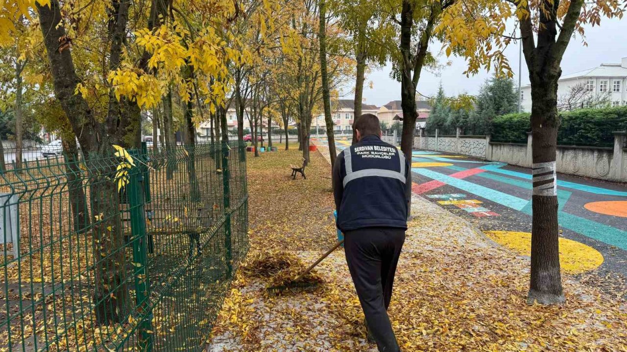 Serdivan’da sonbahar temizliği