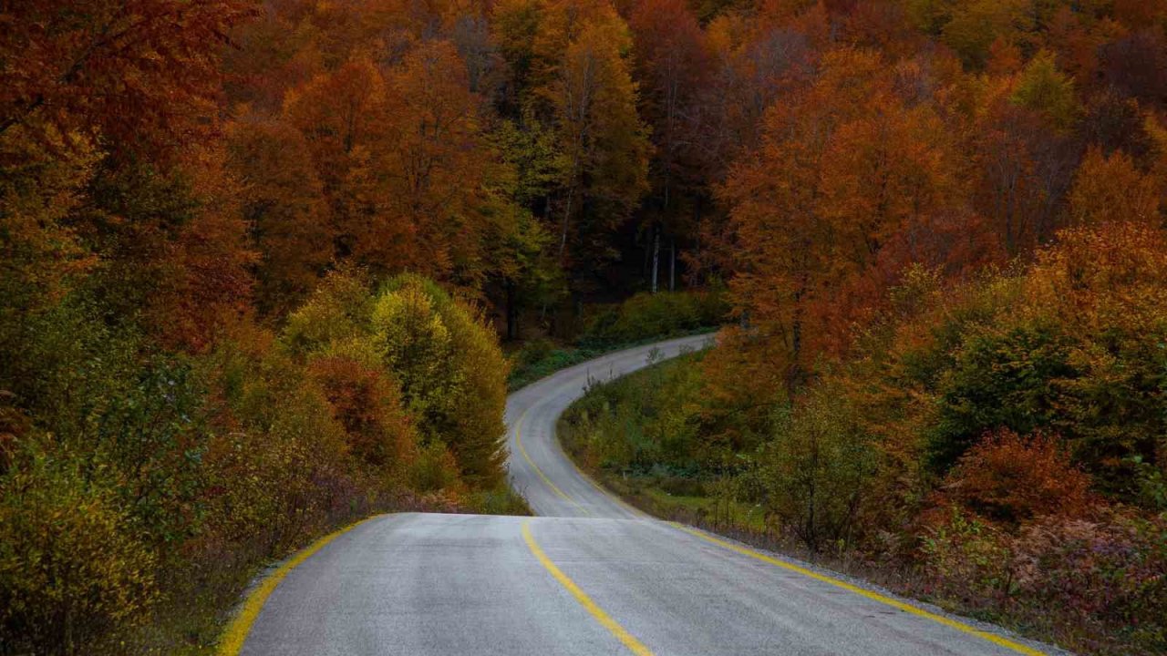 Ordu’da sonbaharda renk cümbüşü