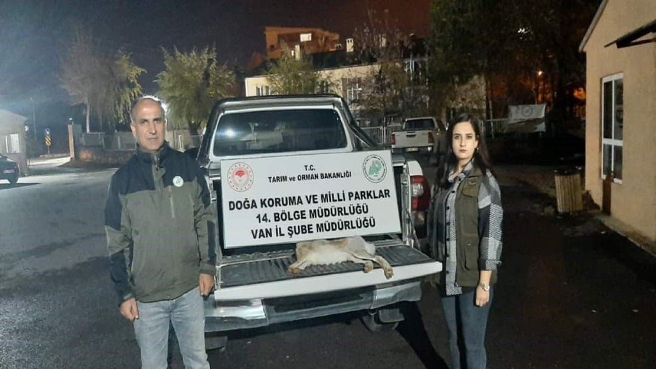 Van’da yasadışı avlanan şahsa 11 bin lira caza