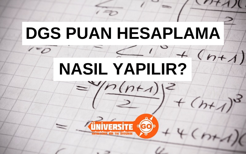 DGS Puanı Nasıl Hesaplanır?