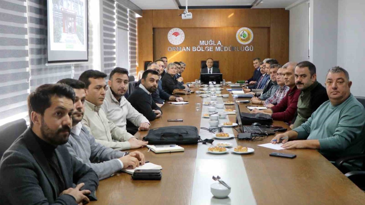 Muğla’da enerji nakil hatları kaynaklı yangınlara karşı toplantı düzenlendi