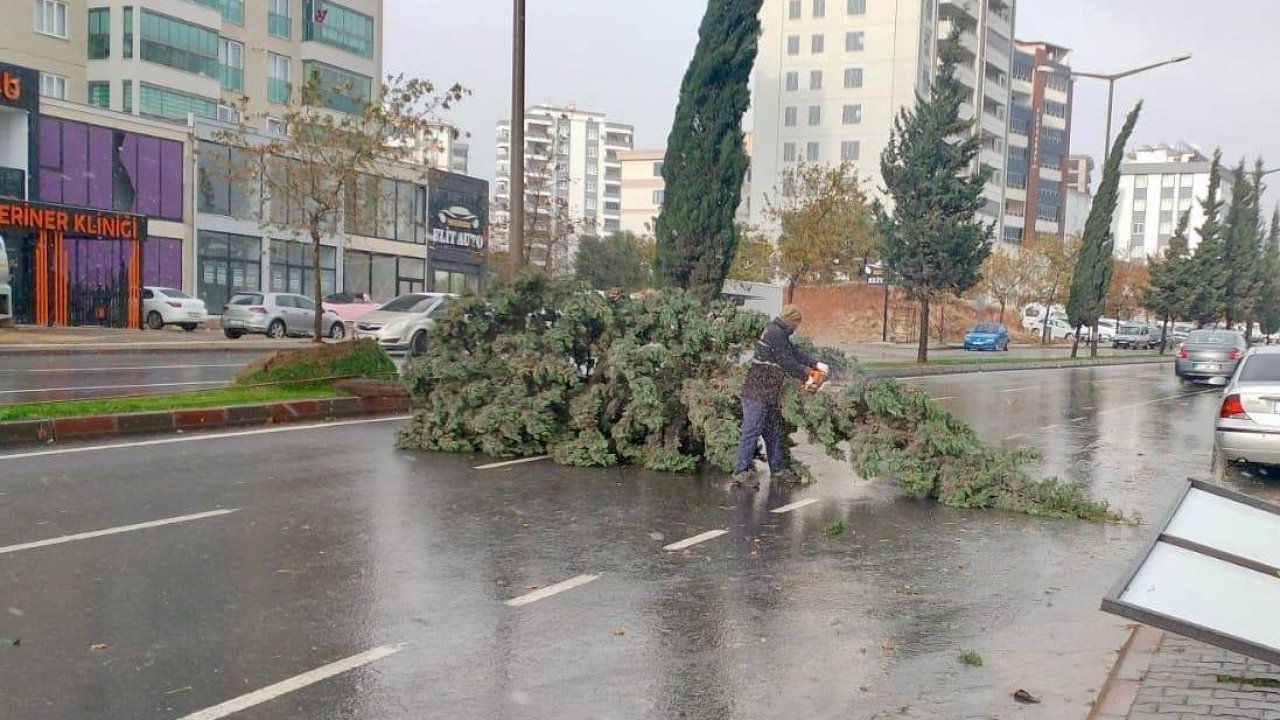 Kahramanmaraş’taki fırtına saatte 95 kilometre hıza ulaştı