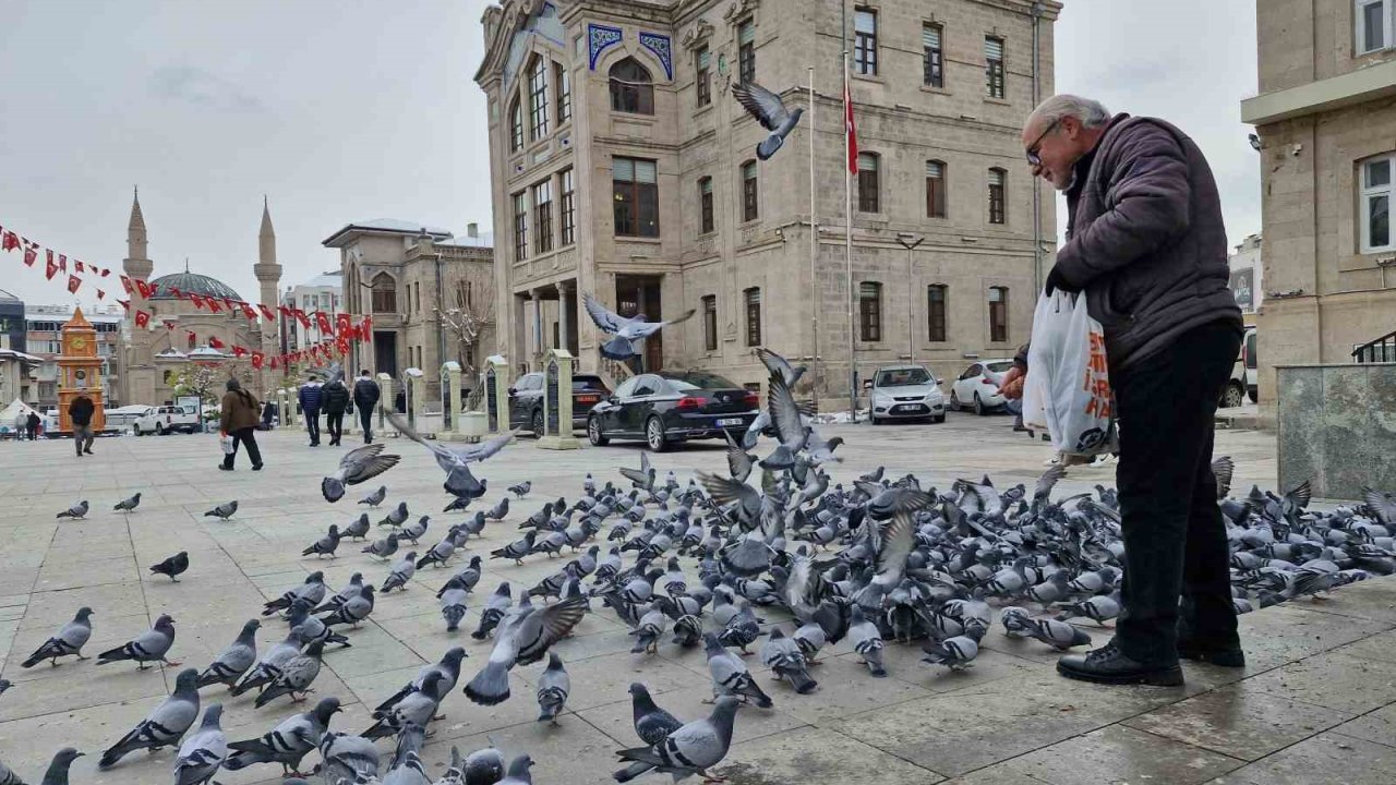 Soğukta kuşları besleyen emekli öğretmen yürekleri ısıttı