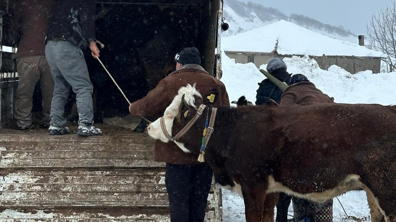 Ordu’da kar nedeniyle yaylada mahsur kalan vatandaşlar kurtarıldı