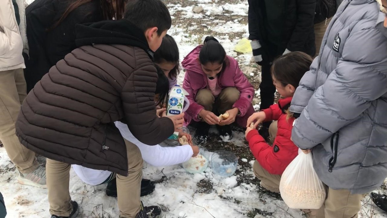 Öğrenciler kar sebebiyle aç kalan hayvanlar için doğaya yiyecek bıraktı