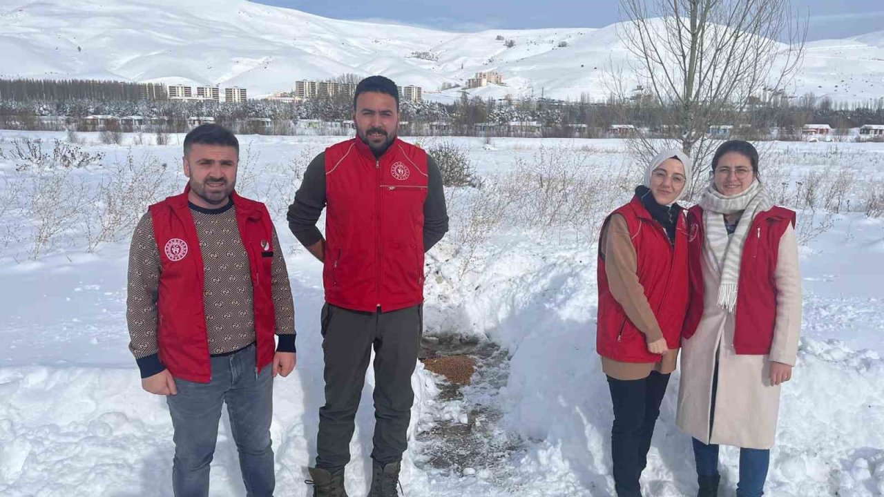 Gençlik Merkezi gönüllüleri sokak hayvanları için doğaya yiyecek bıraktı