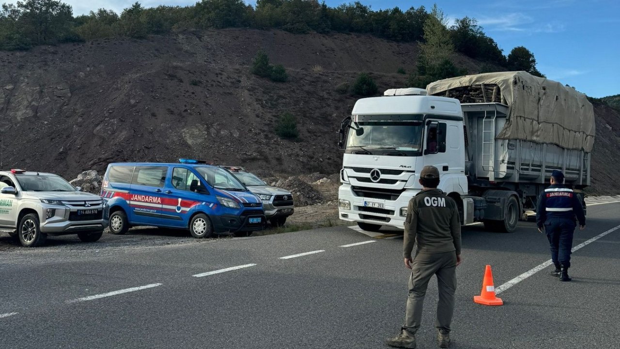 Kaçak orman emvali ile ilgili denetimler sürüyor