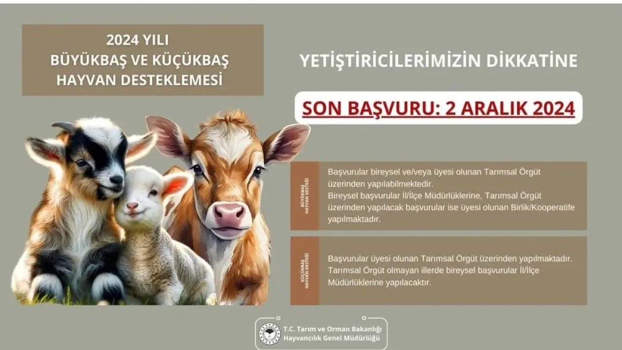 Aydın İl Tarım ve Orman Müdürlüğü’nden destekleme başvuruları için son gün uyarısı