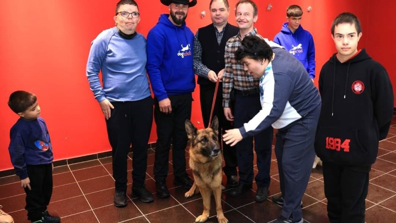 Eğitimli köpekler ile engelliler gününde farkındalık