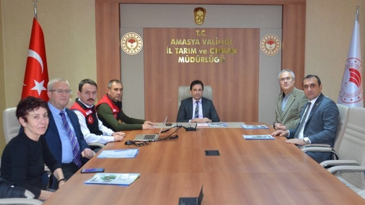 Amasya’da Kahverengi Kokarca zararlısı ile mücadele tedbirleri masaya yatırıldı