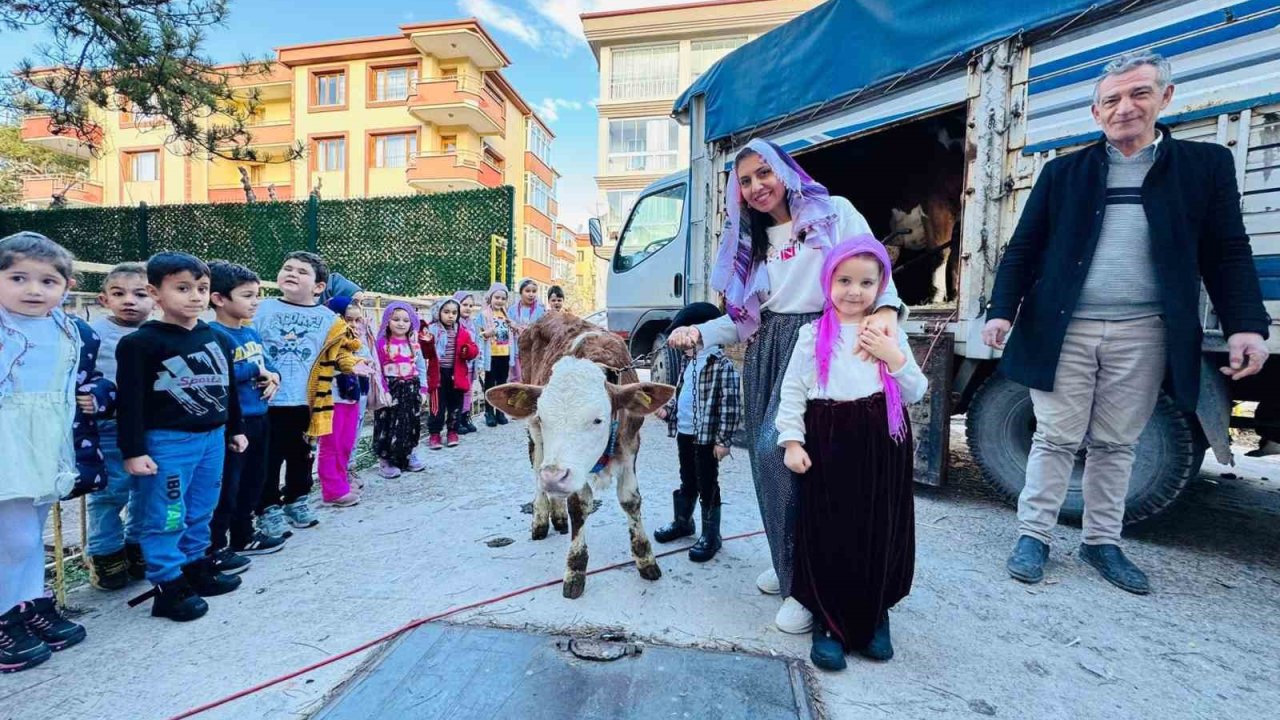 Yerli Haftası’nı okula getirdikleri ‘inekle’ kutladılar