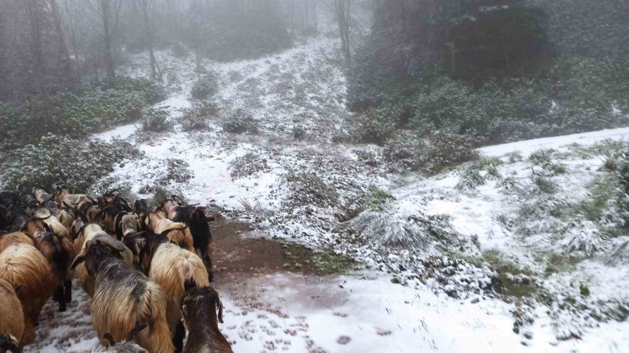 Sakarya’nın yüksek kesimlerinde kar yağışı