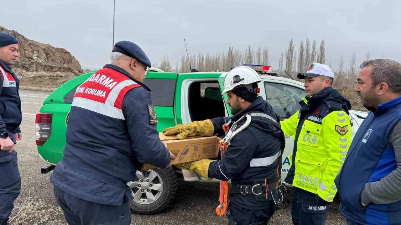 Muş’ta elektrik tellerine sıkışan puhu kuşu kurtarıldı