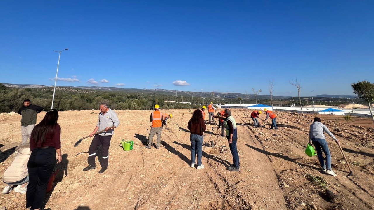 Mersin’de otoban yol kenarları ağaçlandırılıyor