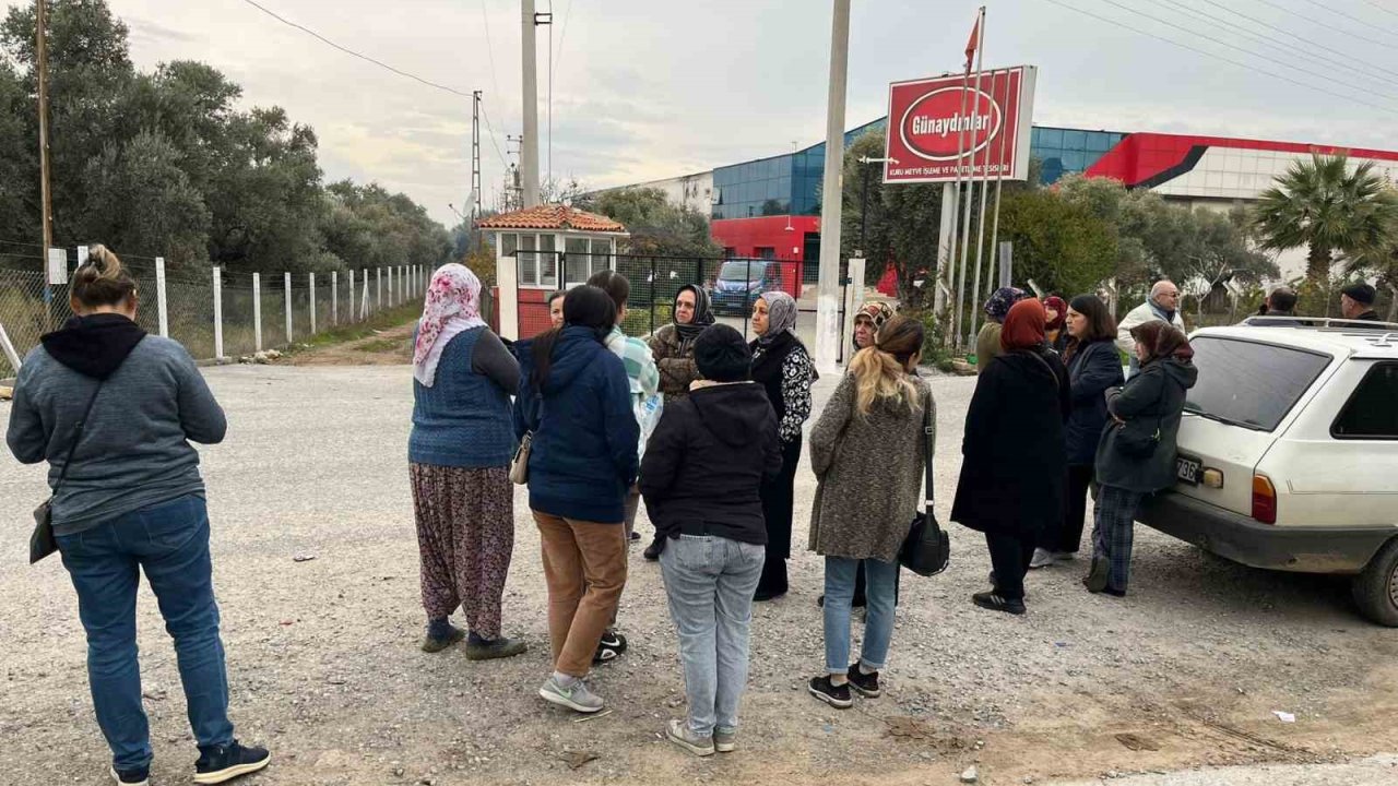 İşletme iflas etti alacaklılar kapıya dayandı