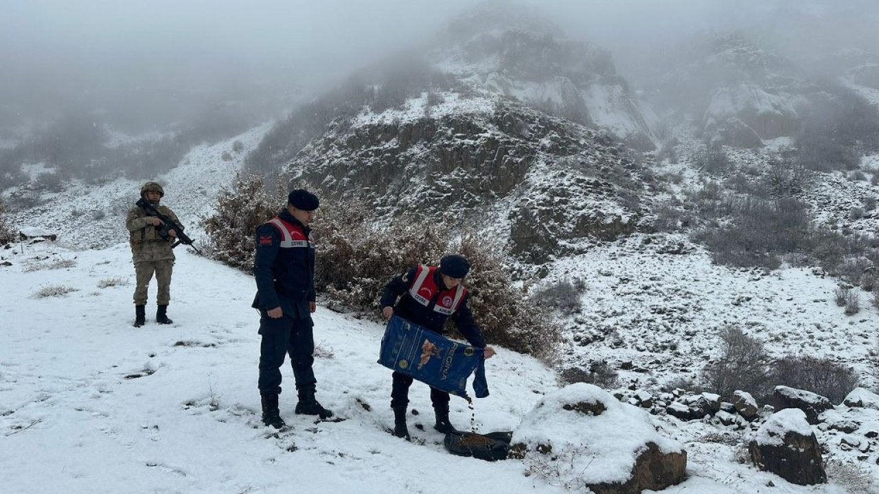 Bingöl’de jandarma ekipleri hayvanlar için doğaya yem bıraktı