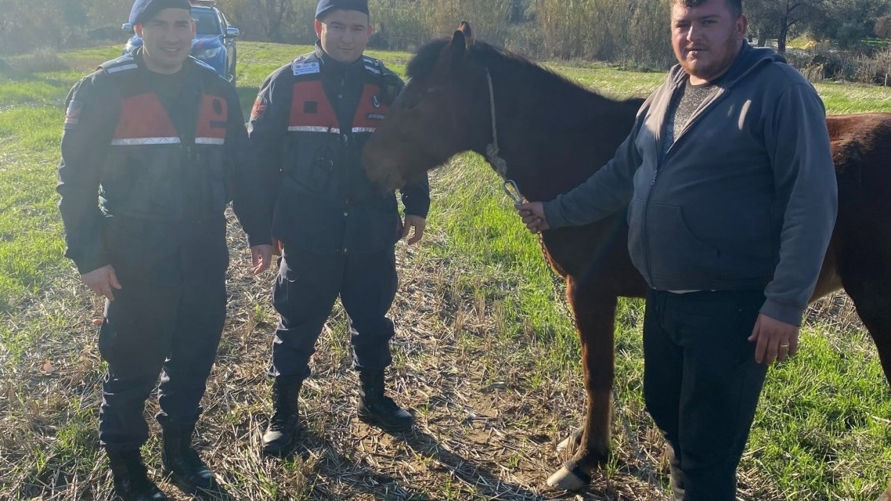 Kaybolan rahvan atı, jandarma ekiplerince bulundu