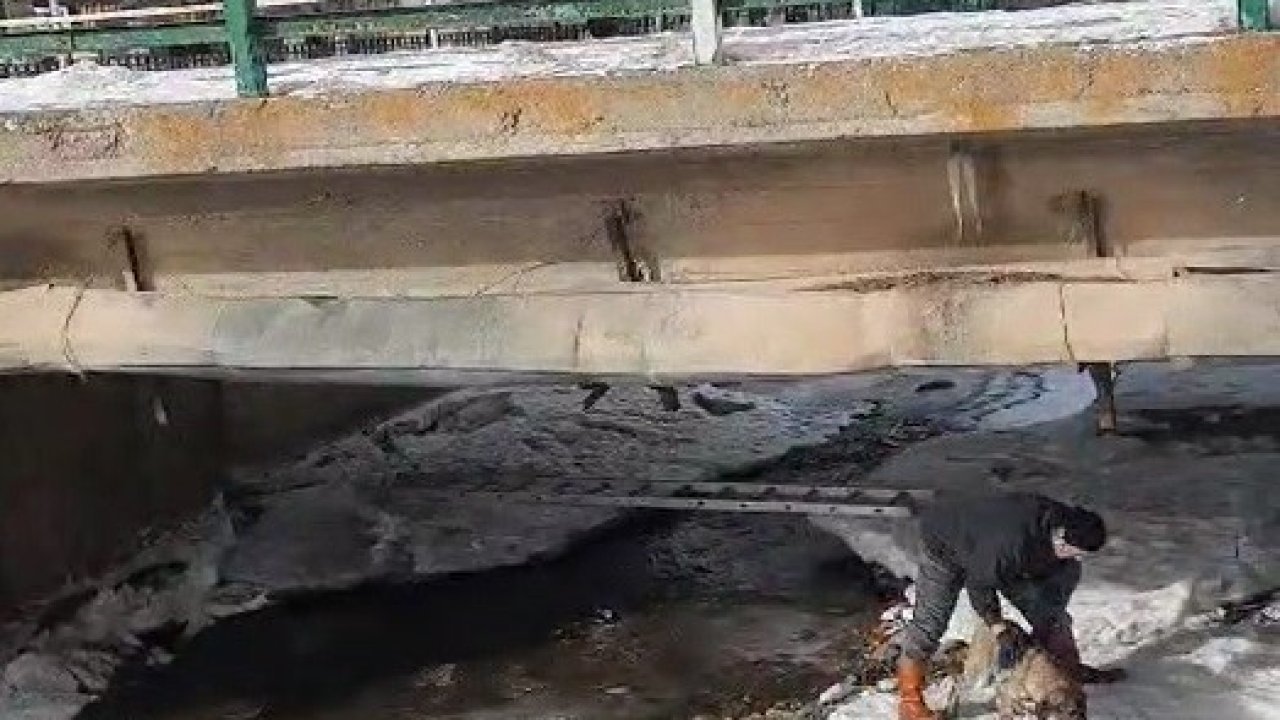 Buz tutan Çoruh Nehri’nde baba ve çocuklarının yürekleri ısıtan köpek kurtarma operasyonu