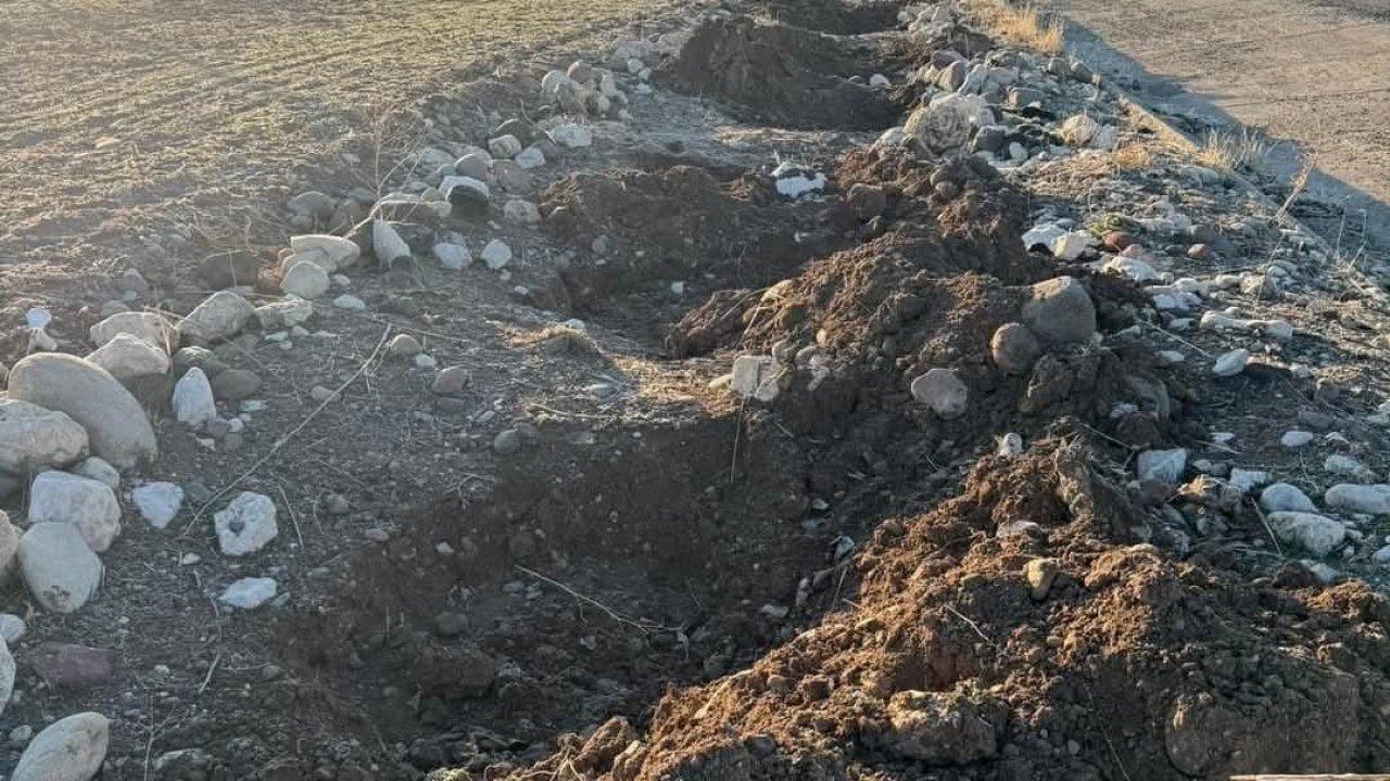 Tunceli’de yol kenarında dikili fidanlar çalındı, belediye başkanı tepki gösterdi