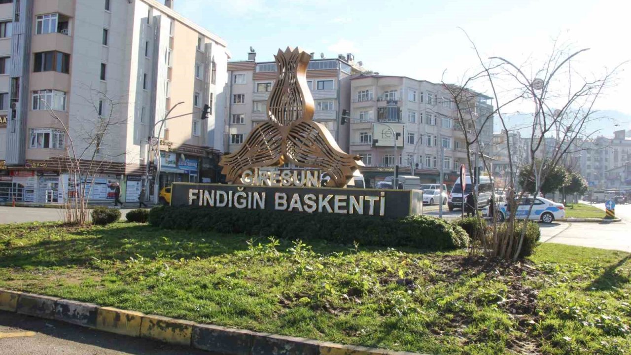 Giresun’da kavşaklar fındık ağaçları ile süslenecek