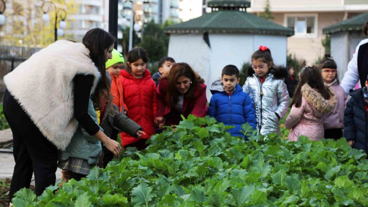 Minik öğrenciler ata tohumlarını zihinlere ekti