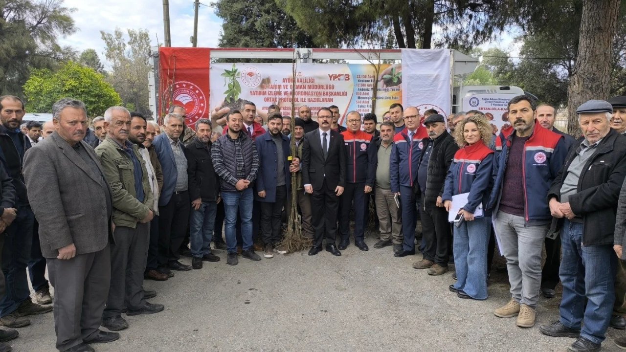 Sultanhisar’da 6 bin kestane fidanı dağıtıldı