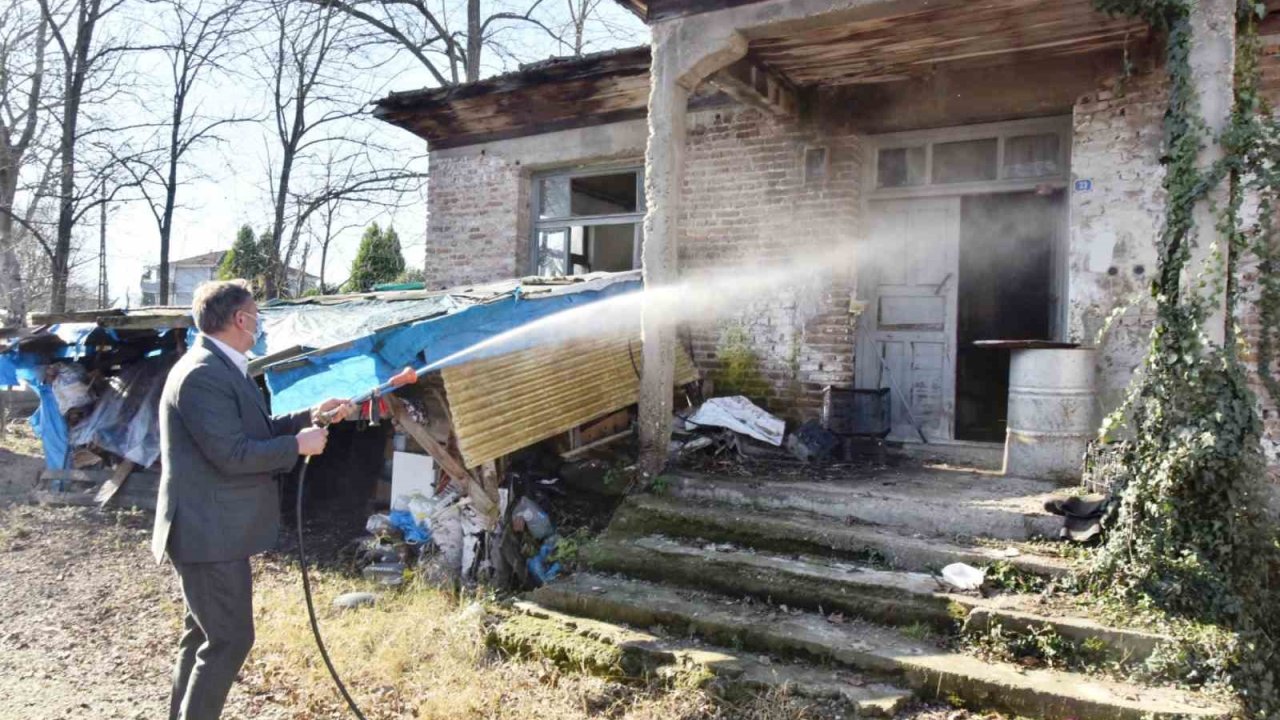 Belediye başkanı kolları sıvayıp, kahverengi kokarca ilaçlamasına katıldı