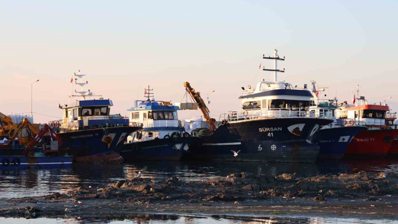 Didim Taşburun Balıkçı Barınağı’nın içler acısı hali görenleri şaşırtıyor